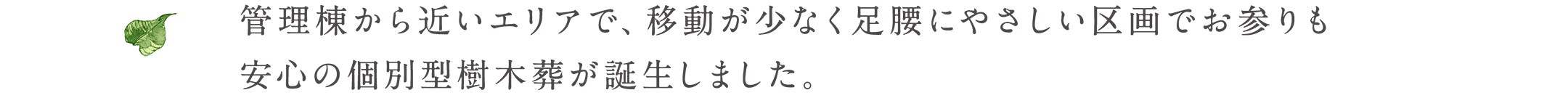 管理棟から近いエリアで、移動が少なく足腰にやさしい区画でお参りも安心の個別型樹木葬が誕生しました。