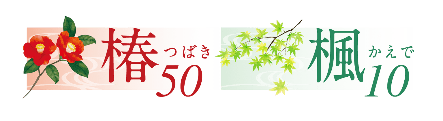 椿50・楓10