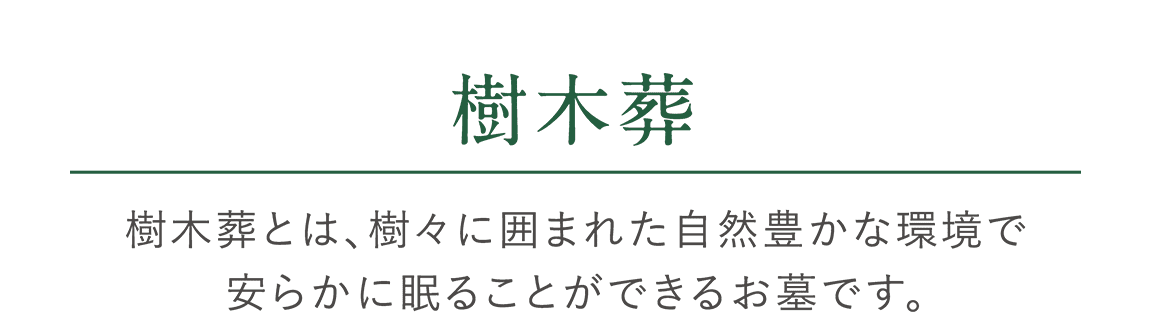 「樹木葬」 樹木葬とは、樹々に囲まれた自然豊かな環境で安らかに眠ることができるお墓です。