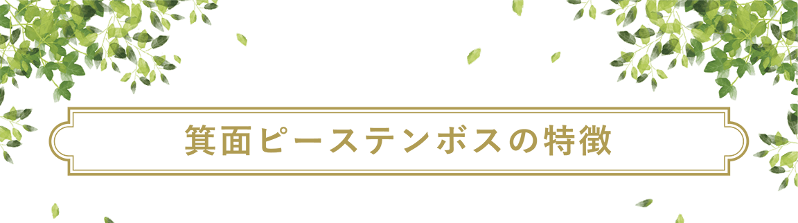 箕面ピーステンボスの特徴