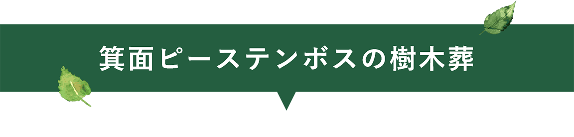 箕面ピーステンボスの樹木墓