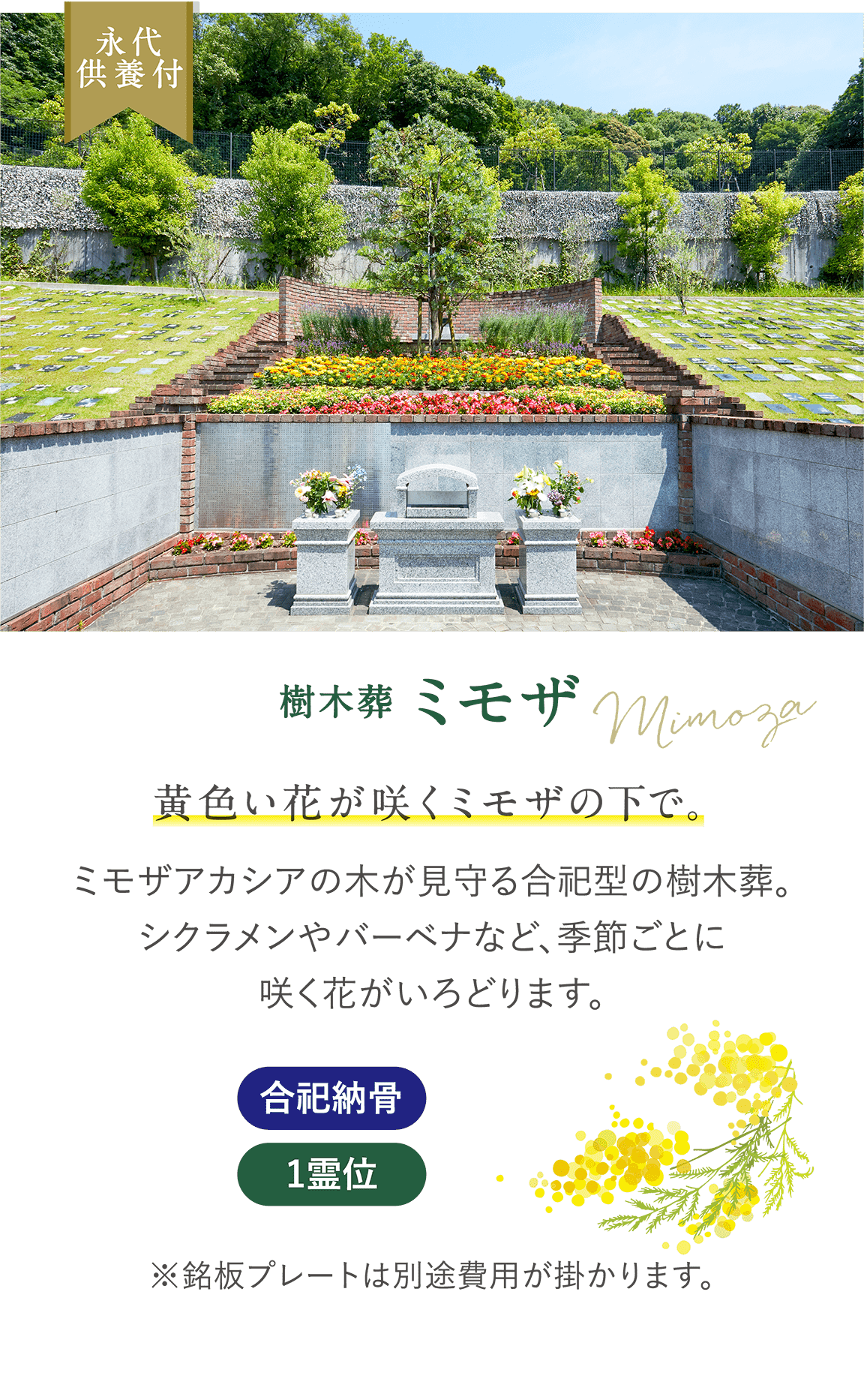 永代供養付 樹木葬 Mimoza 「ミモザ」黄色い花が咲くミモザの下で。 ミモザアカシアの木が見守る合祀型の樹木葬。シクラメンやバーベナなど、季節ごとに咲く花がいろどります。 合同納骨 1霊位※銘板プレートは別途費用が掛かります。
