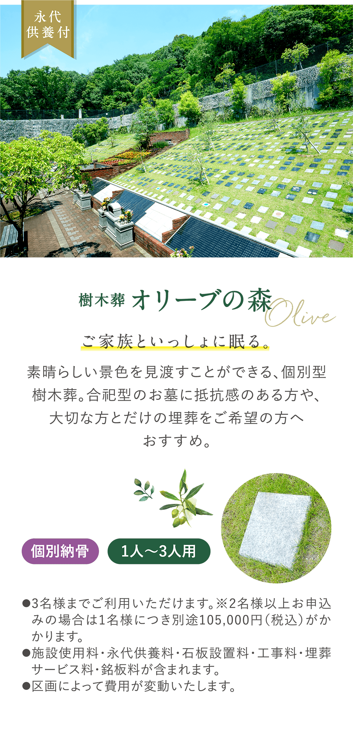 永代供養付 樹木葬 Olive 「オリーブの森」 ご家族といっしょに眠る。 素晴らしい景色を見渡すことができる、個別型樹木葬。合祀型のお墓に抵抗感のある方や、大切な方とだけの埋葬をご希望の方へおすすめ。 個別納骨 1人〜3人用 ●3名様までご利用いただけます。※2名様以上お申込みの場合は1名様につき別途105,000円（税込）がかかります。 ●施設使用料・永代供養料・石板設置料・工事料・埋葬サービス料・銘板料が含まれます。●区画によって費用が変動いたします。