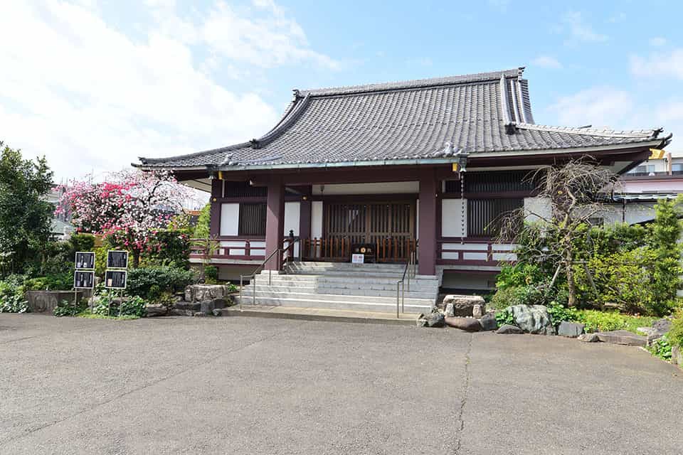 樹王山 光照寺