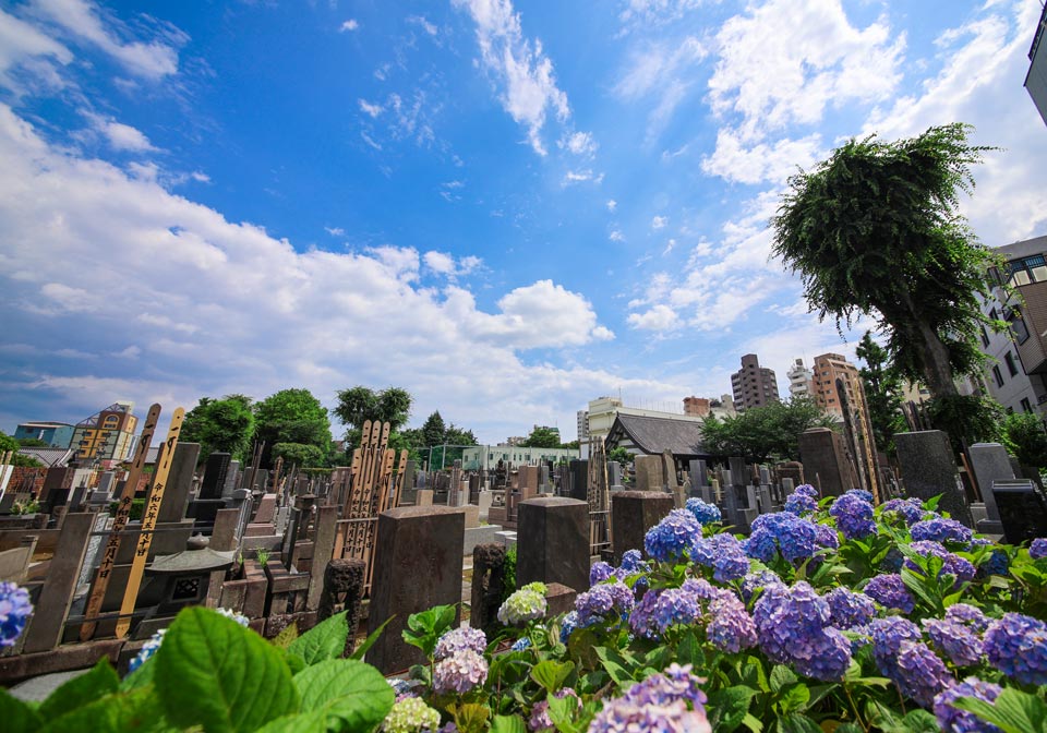 髙林寺