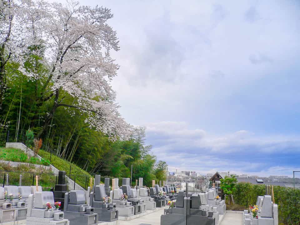 安養院 「南平浄苑」