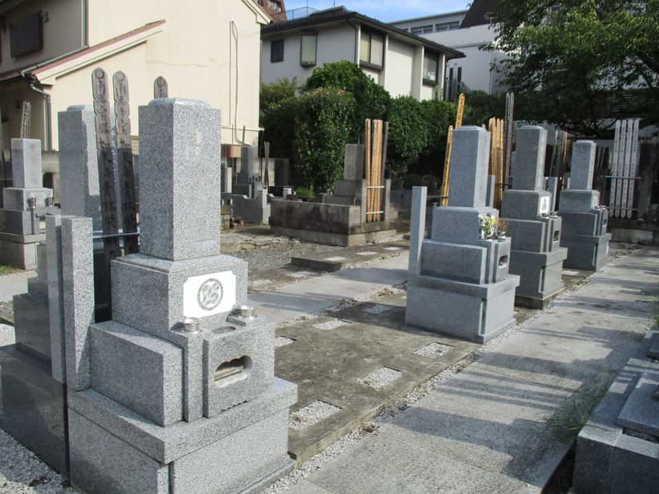 蒼龍山 松源寺