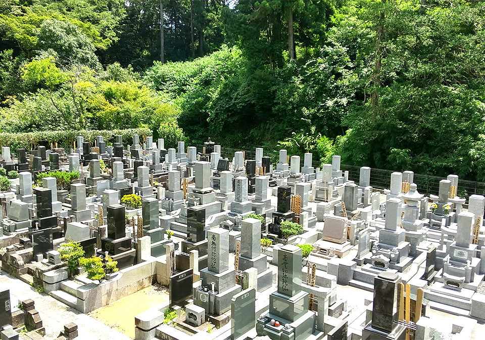 今泉山 称名寺(今泉不動)