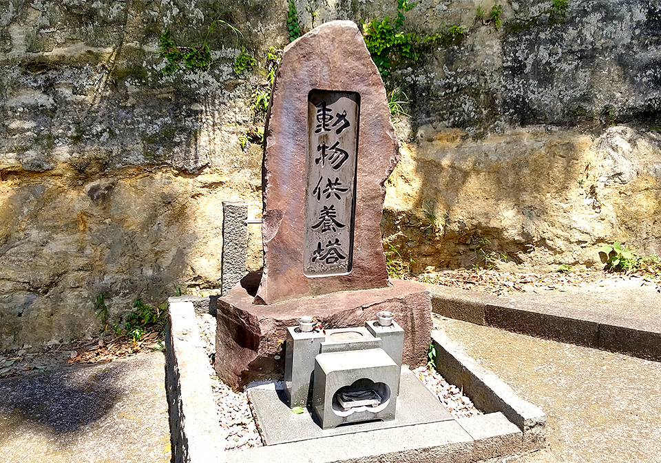 今泉山 称名寺(今泉不動)