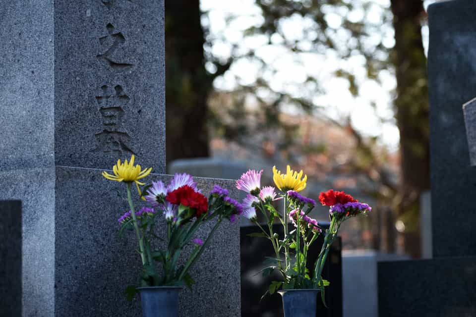 都立 多磨霊園