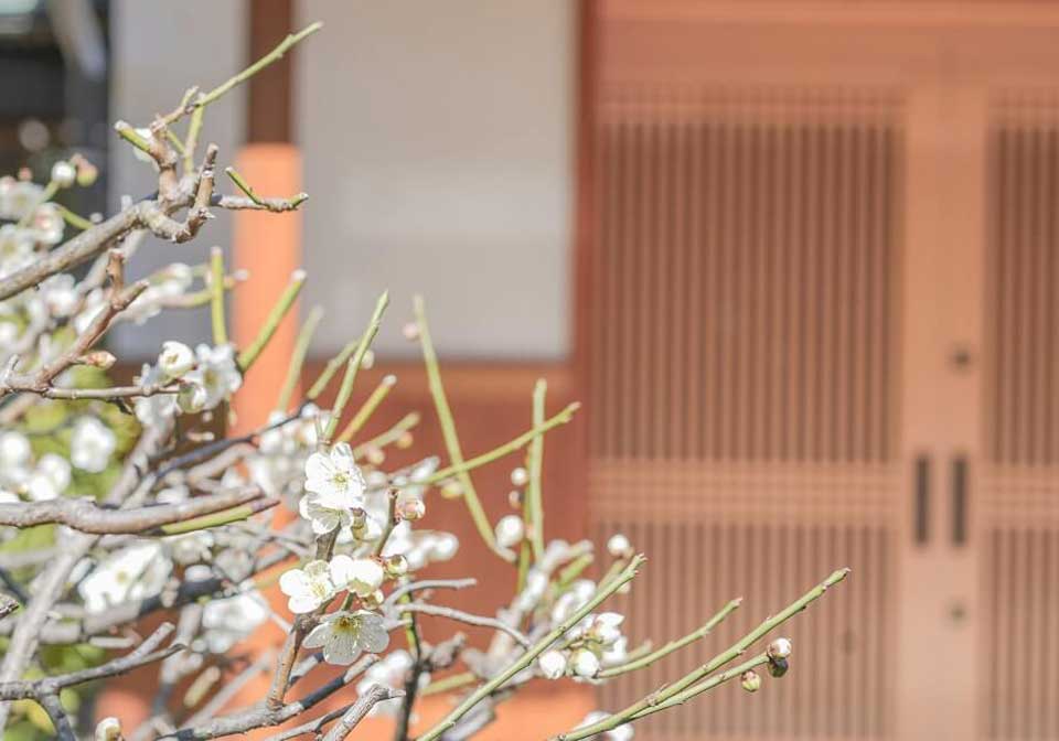 翼のとびら 日暮里墓苑